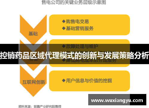 控销药品区域代理模式的创新与发展策略分析